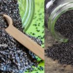 chia-seeds-vs-salba-seeds