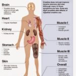 creatine-dangers-and-side-effects-weight-gain