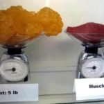 muscle-weights-more-than-fat