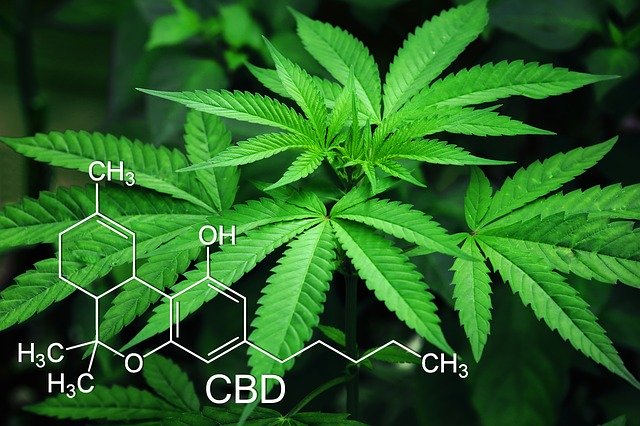 Health Benefits Of Cannabis In 2020